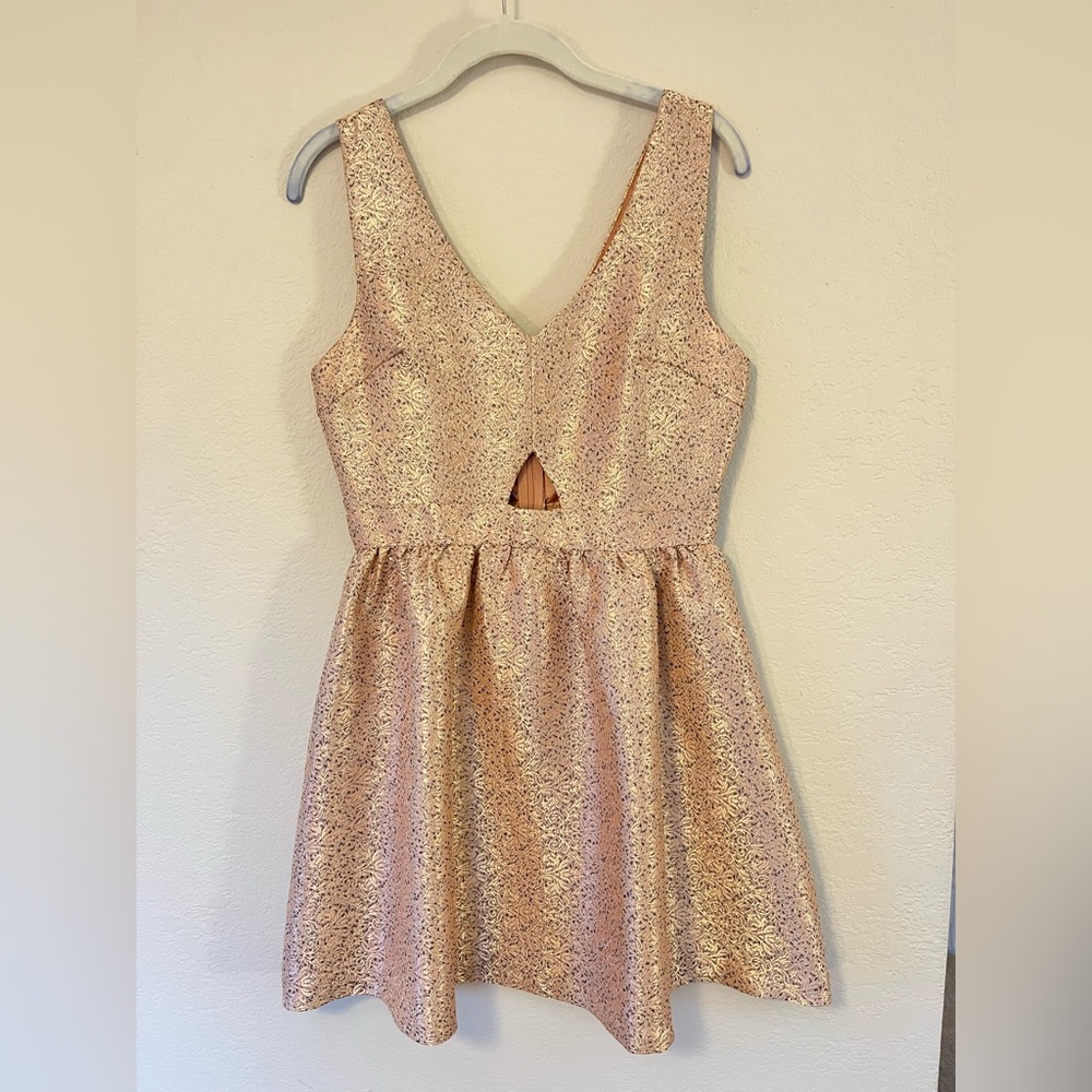 Champagne Vintage Party Dress with Cut-Out